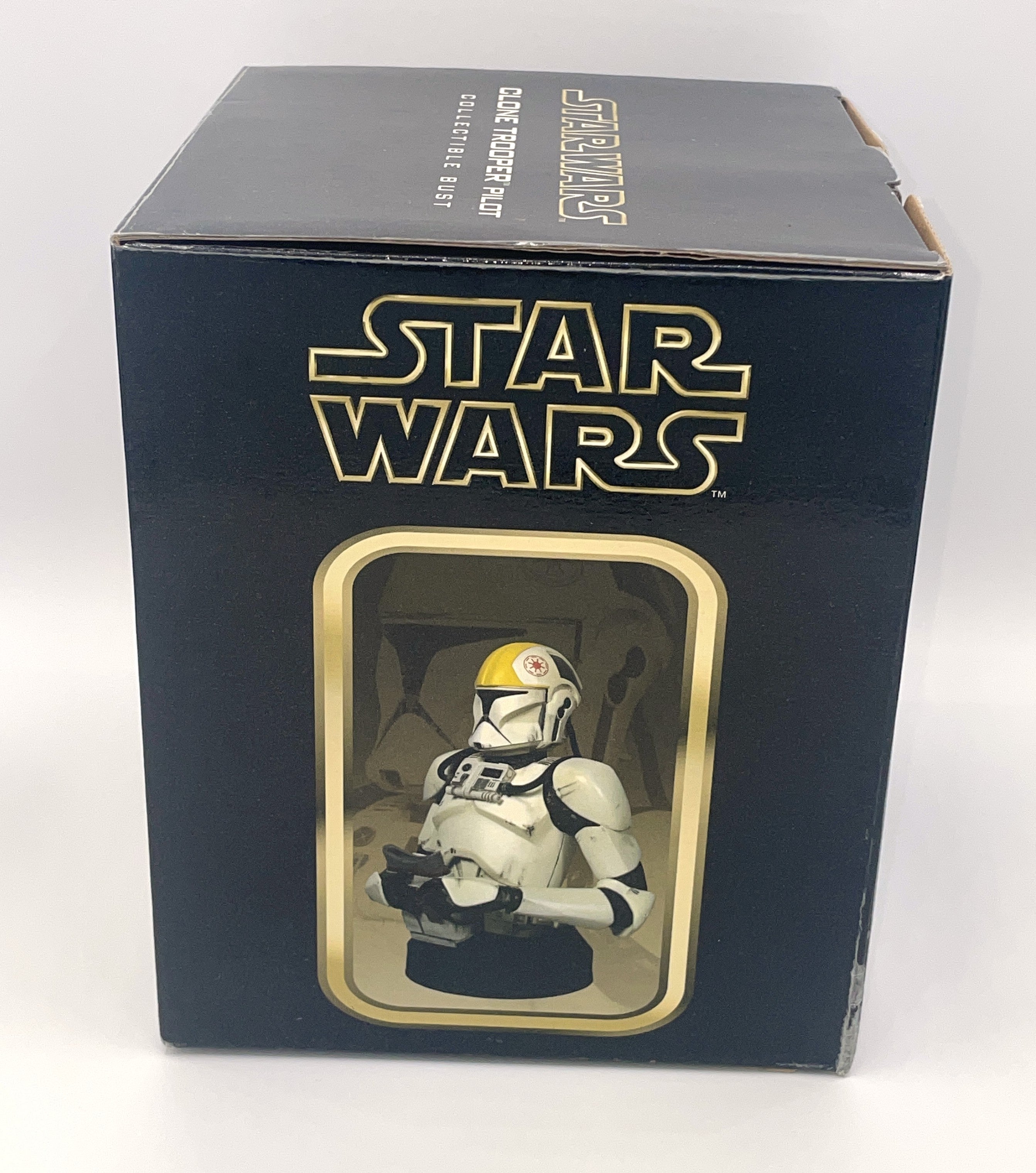 Gentle Giant Star Wars Clone Trooper Pilot 1/6 Collectible Bust