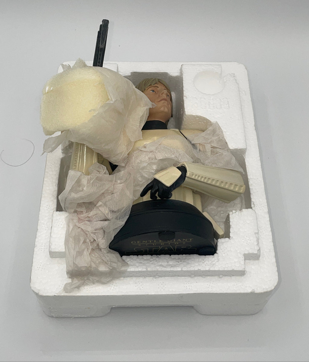 Gentle Giant Star Wars Luke Skywalker Stormtrooper Disguise 1/6 Collector's Club Bust 2004